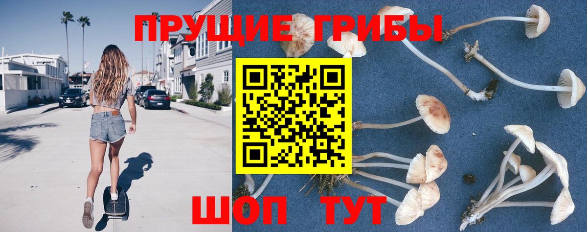 Псилоцибиновые грибы Psilocybine cubensis  Вход с VPN  Галлюциногенные грибы мицелий  Нефтекамск 